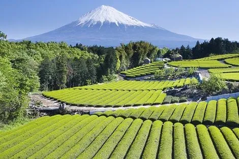 Mont Fuji