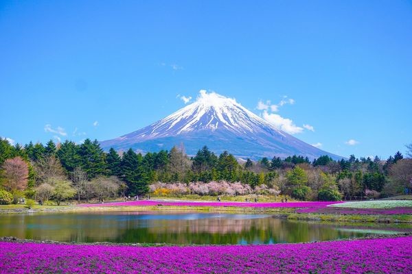 séjour Japon - Circuit Splendeurs du Japon - Limité à 28 pers.