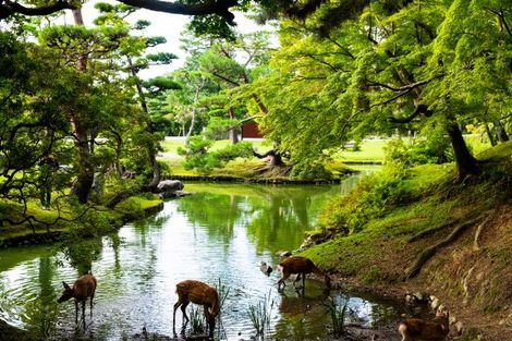 Nara