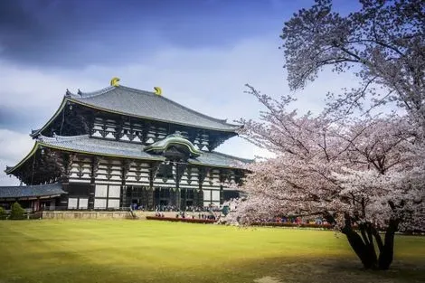 Nara