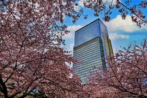 Hôtel Mandarin Oriental Tokyo tokio_tokyo JAPON