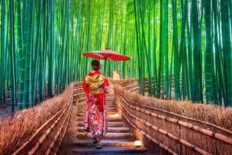 Circuit Le Japon d'Est en Ouest en tokyo Japon