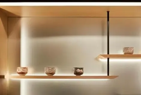 Hôtel Agora Tokyo Ginza tokyo JAPON