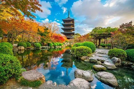 Circuit Tokyo, Mont Fuji & Kyoto tokyo Japon