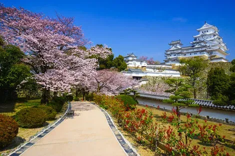 Sensations au Japon authentique