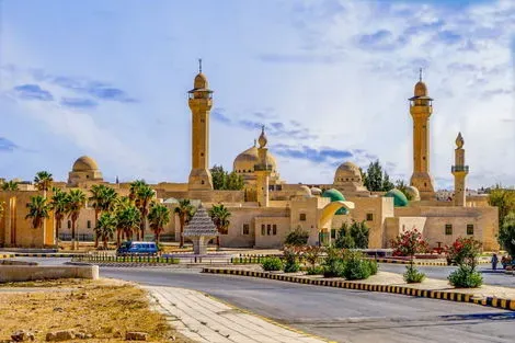 Circuit Au coeur de la Jordanie en privatif amman Jordanie
