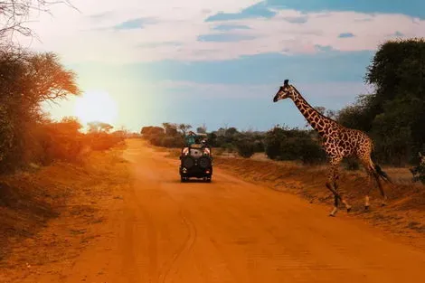 Combiné circuit et hôtel « Safari inoubliable au Kenya : Masai Mara, Naivasha & Amboseli » & séjour en Ôclub nairobi Kenya