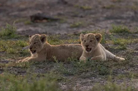 Combiné hôtels Ôclub Experience Sun Palm Beach Hotel & Resort 4* + Safari 2 nuits dans le parc national de Tsavo watamu Kenya