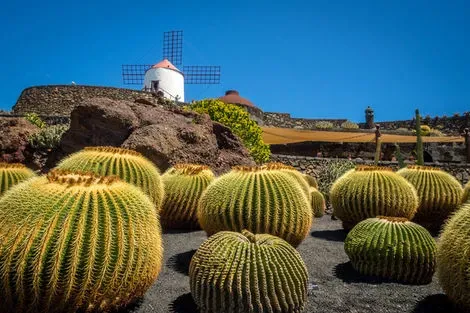 Jardin des cactus (Manrique)