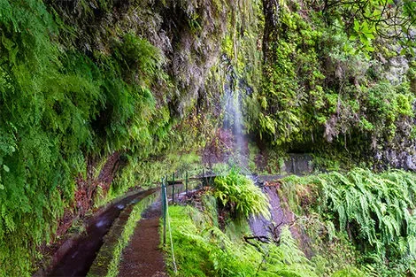 Levada do Rei