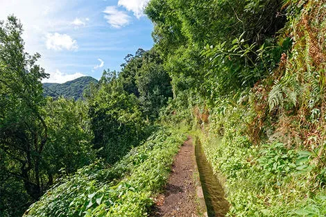 Levada do Rei