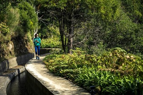 Levada