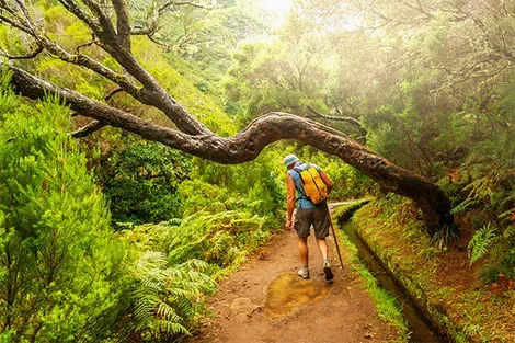 Levada