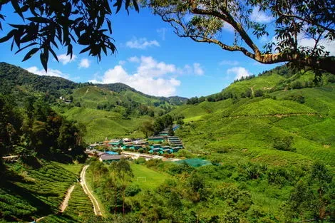 Circuit Lotus de Malaisie et l'île de Perhentian kuala_lumpur Malaisie