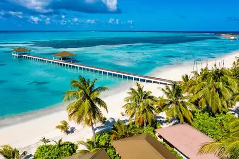 Hôtel South Palm Resort Maldives Atoll_daddu Maldives