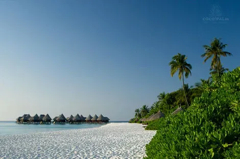 Maldives-Male, Hôtel Coco Palm Dhuni Kolhu 4*