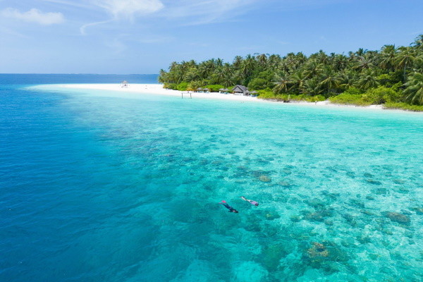 Maldives : Hôtel Fihalhohi Island Resort