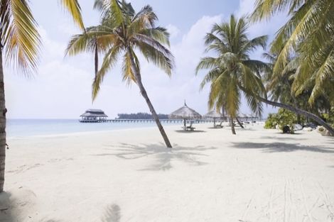 Maldives-Male, Hôtel Kihaa Maldives 4*