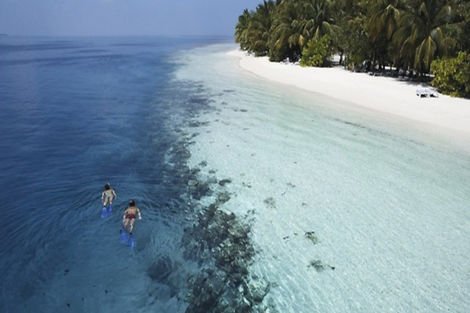 Maldives-Male, Hôtel Vilamendhoo Island Resort & Spa 4*