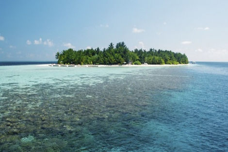 Maldives-Male, Hôtel Vilamendhoo Island Resort & Spa 4*