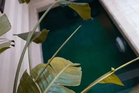 Riad Beata marrakech MAROC
