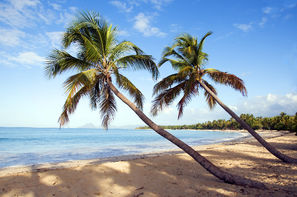 Martinique-Fort De France, Village Vacances Pierre & Vacances Ste-Luce 3*
