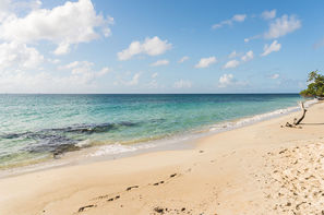 Martinique-Fort De France, Résidence hôtelière Résidence Cayalines