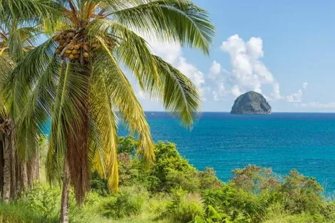 Autotour Sur un Rythme Créole - 2027 fort_de_france Martinique