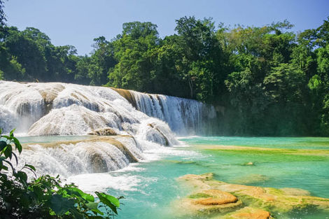 Cascades Agua Azul