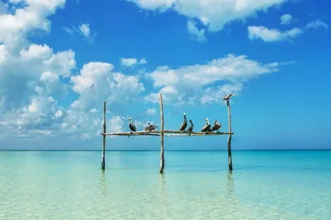 Circuit Cap sur le Yucatan extension Holbox 2027 cancun Mexique