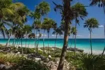 Hôtel Mi Amor Hotel tulum MEXIQUE