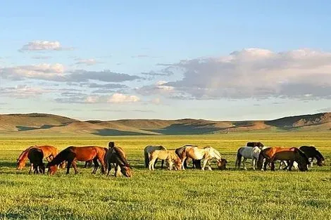 Circuit Immersion en Mongolie - 2025 - en petit groupe oulan_bator Mongolie