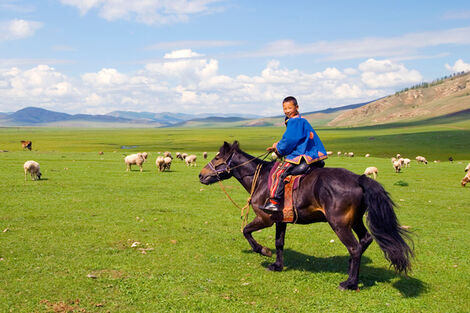 Mongolie