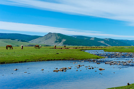 Vallée d'Orkhon