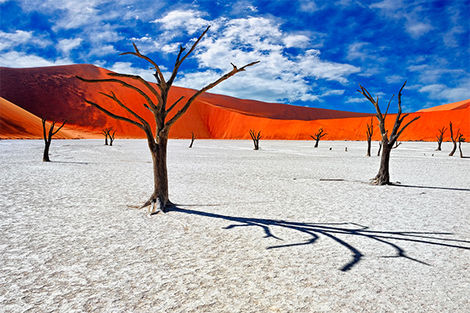 Deadvlei