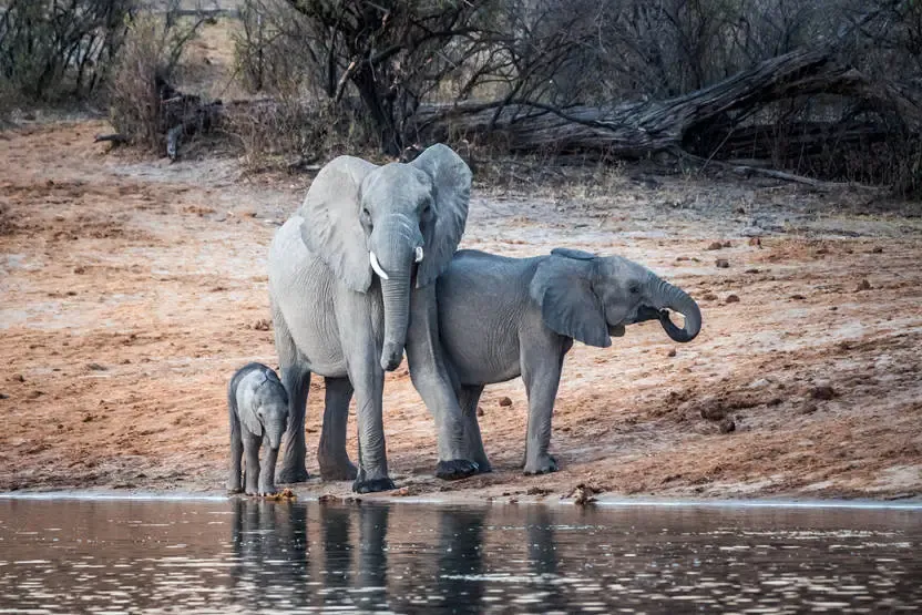 séjour Namibie - Autotour Namibie et Bande de Caprivi
