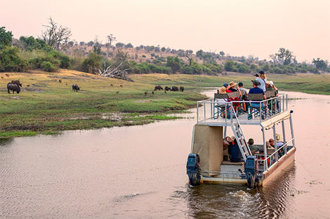 Safari bateau à Chobe