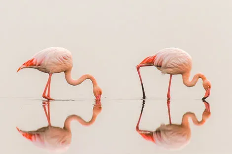 Walvis Bay