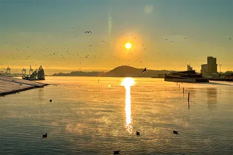 Oslofjorden - Fara Mohri