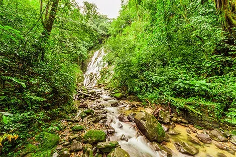 Chorro El Macho, El Valle de Anton