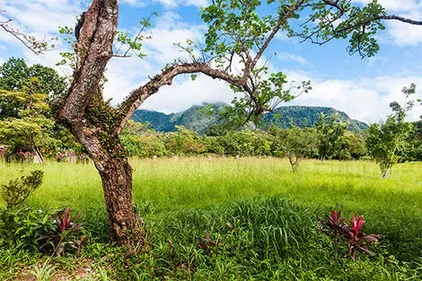 El Valle de Anton in Panama