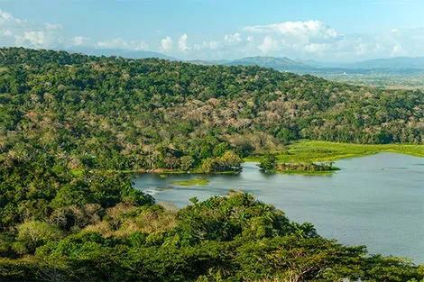 Lac Gatun