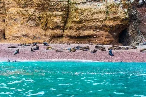Iles Ballestas