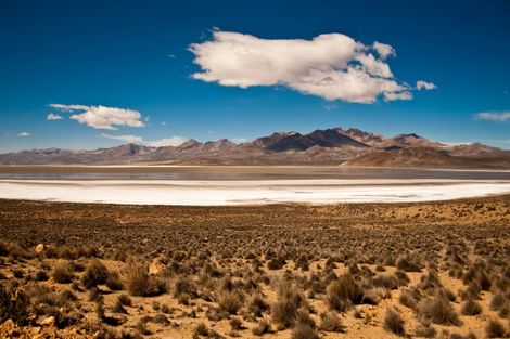 Parc National de Salinas