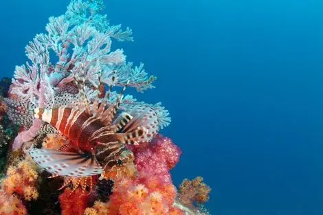 Zoo Marine