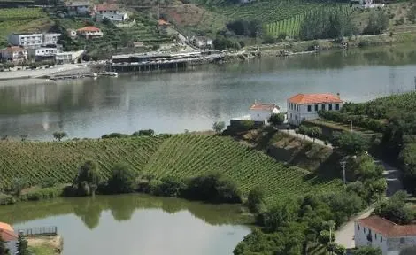 Hôtel Folgosa Douro Hotel lamego PORTUGAL