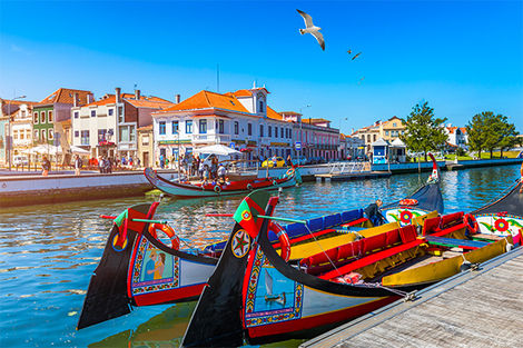 Avieiro