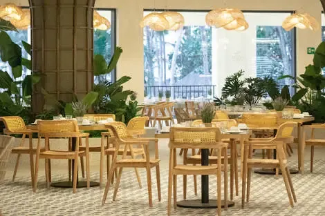 Restaurant buffet Taino