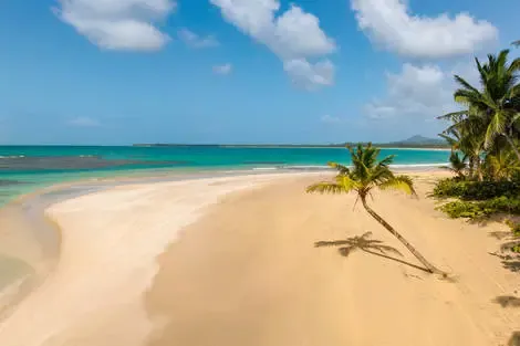 Hôtel Dreams Playa Esmeralda Resort & Spa punta_cana République Dominicaine