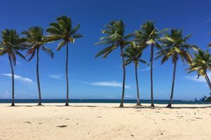 Republique Dominicaine-Saint Domingue, Hôtel Emotions Playa Dorada by Hodelpa 4*